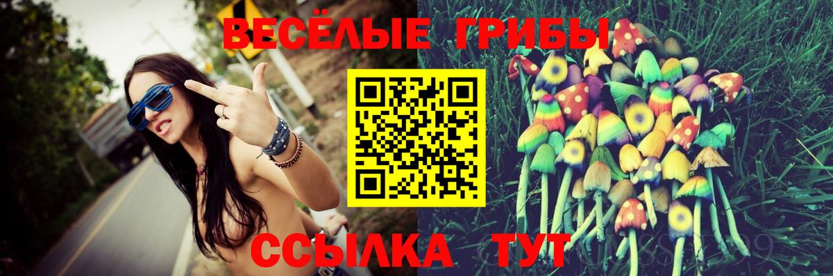 Клинцы  Галлюциногенные грибы Psilocybine cubensis  Вход с VPN 